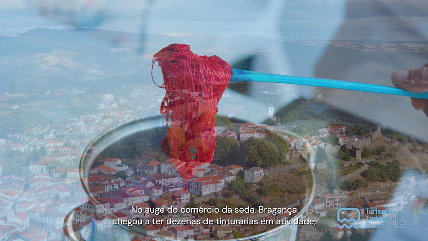 CIM Terras de Trás os Montes